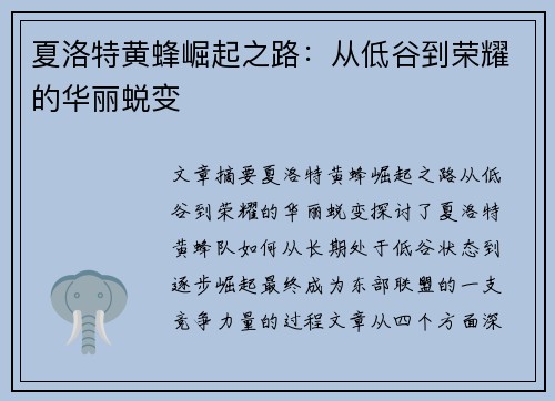 夏洛特黄蜂崛起之路:从低谷到荣耀的华丽蜕变 夏洛特黄蜂崛起之路:从低谷到荣耀的华丽蜕变